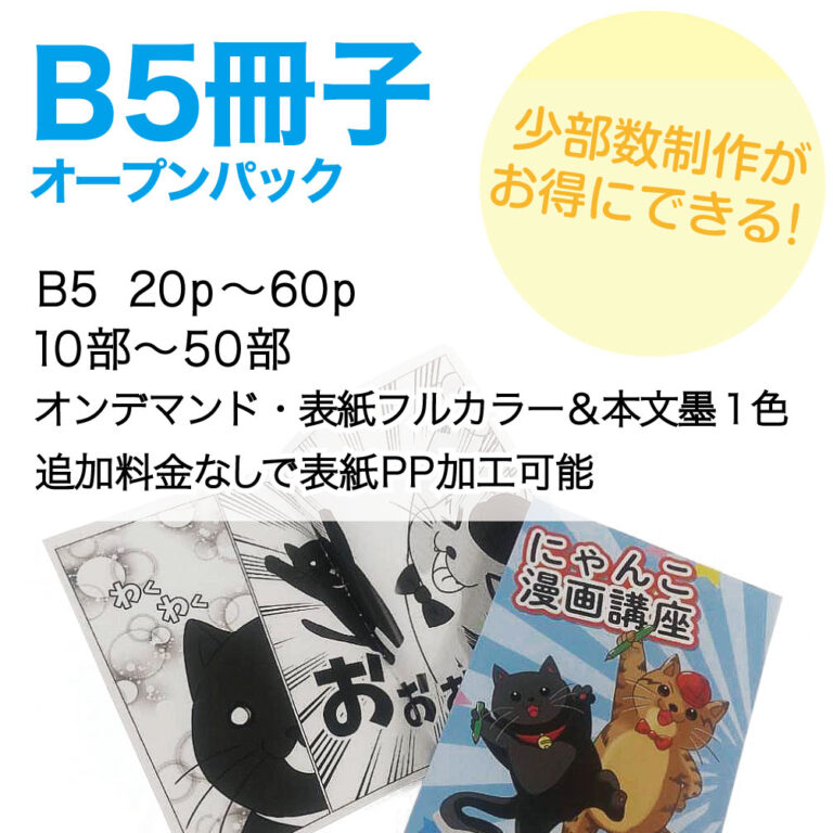 B5_pre_pack