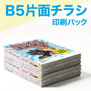 B5flyer2_pre_pack